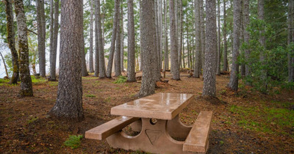 BLM lifts northern California fire restrictions