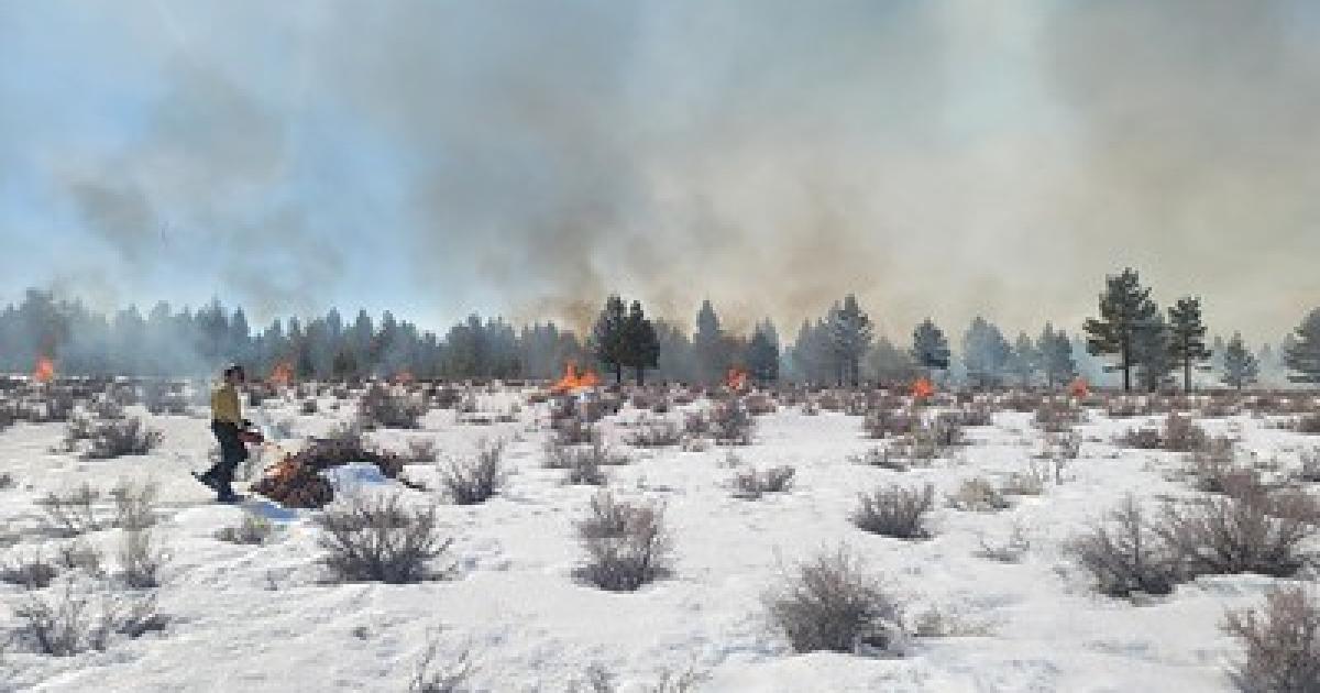 BLM to conduct prescribed fire at Bodie Hills for wildfire prevention