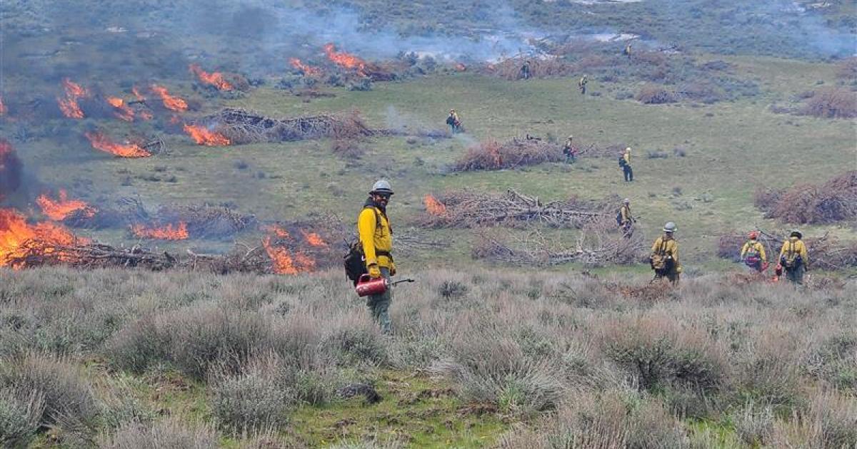 Blm To Conduct Prescribed Burns To Reduce Wildfire Risk Bureau Of