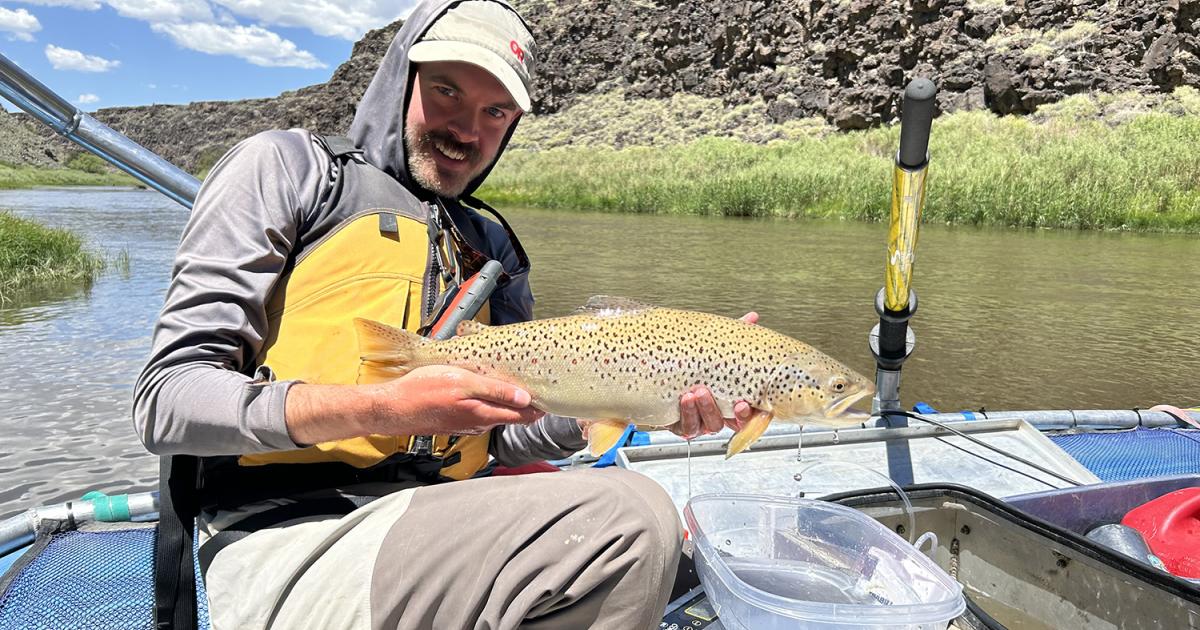 Taos Field Office conducts fish population survey in the Rio Grande del