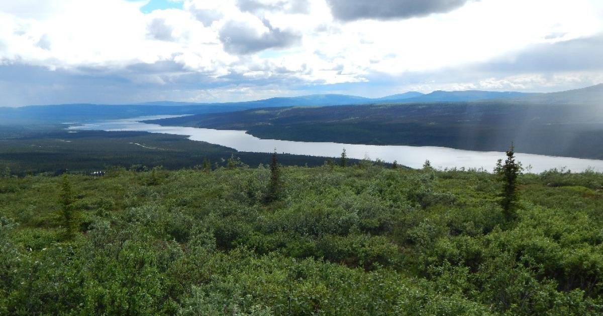 BLM seeks public input on draft business plan for Glennallen Field ...
