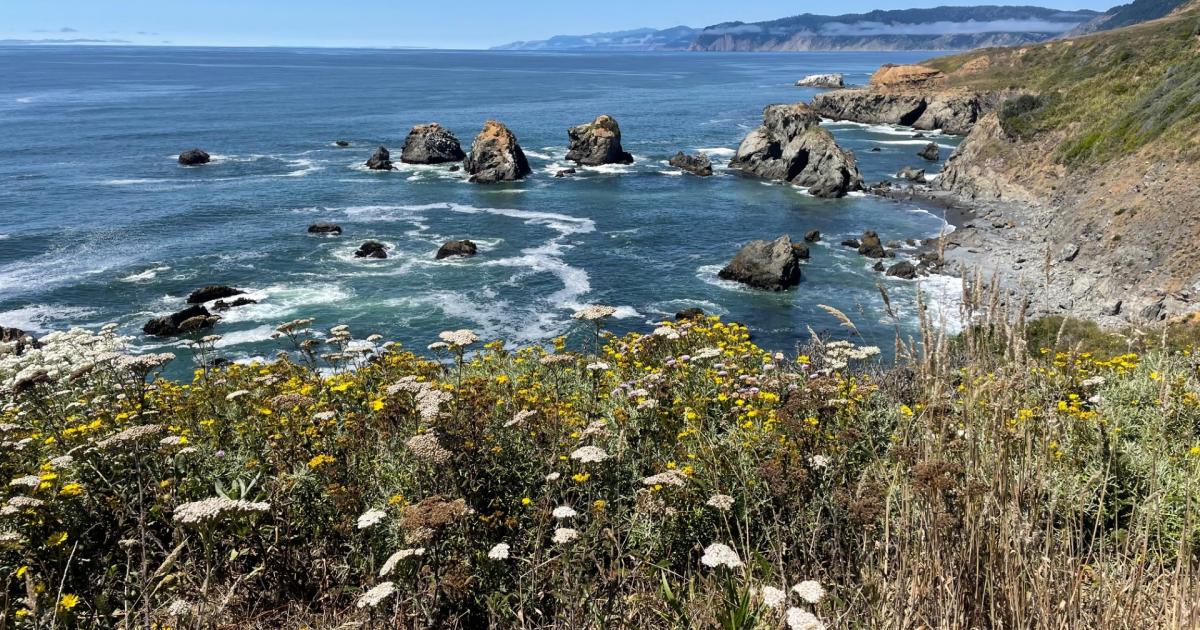 BLM acquires Lost Coast Redwoods property in northern California