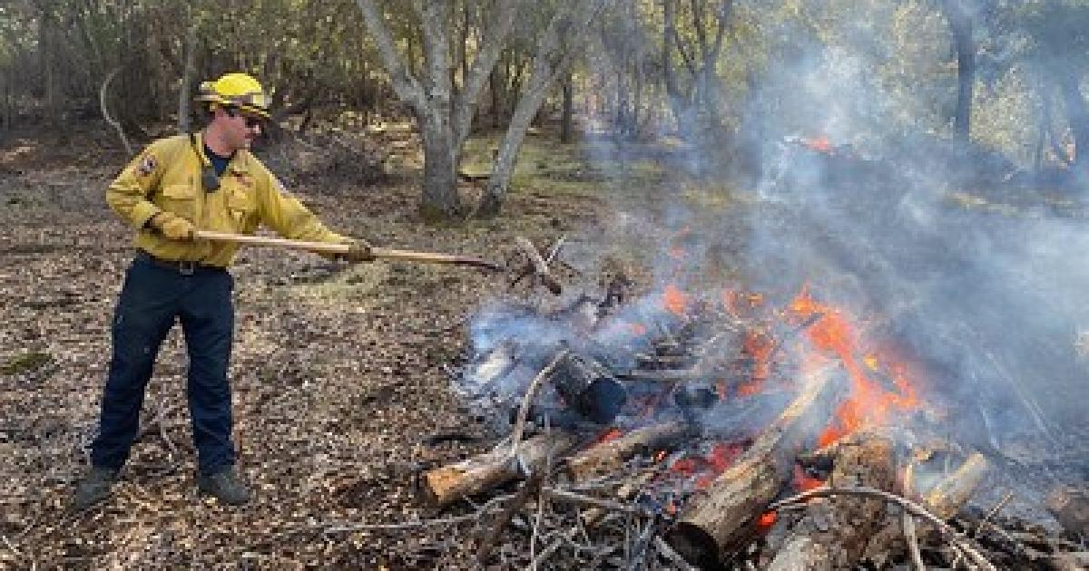 BLM to oversee prescribed fire in Black Forest