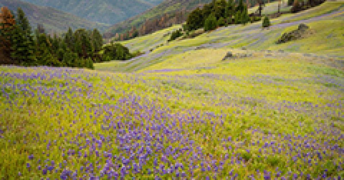 BLM Resource Advisory Council to meet May 15