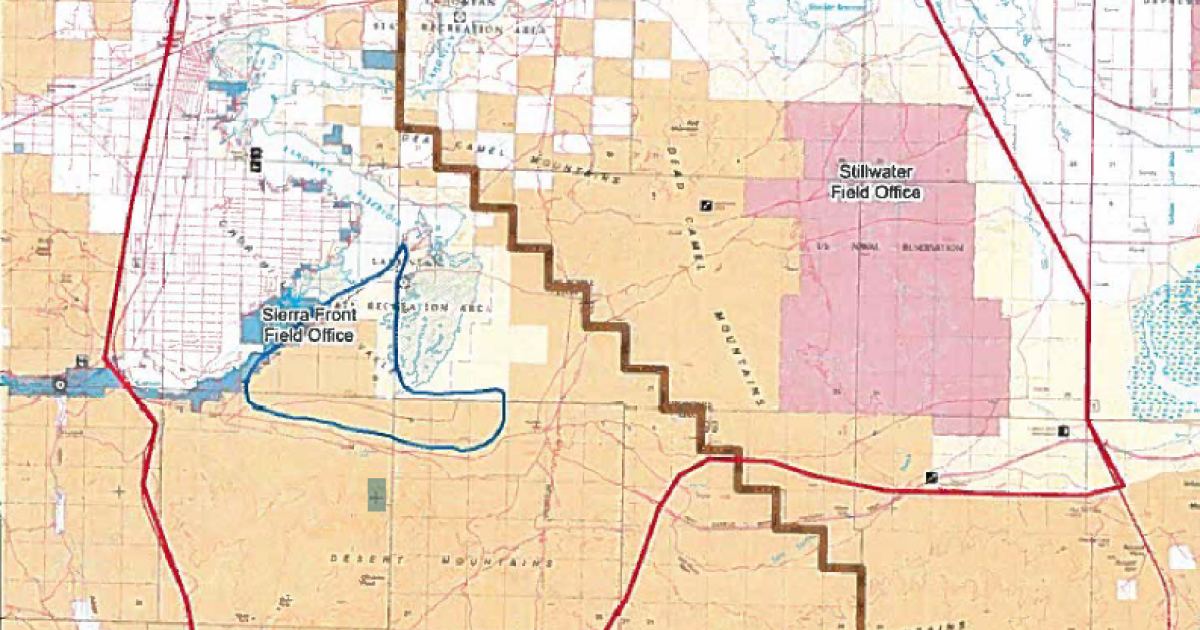 BLM seeks input on proposed Lahontan wild horse gather plan | Bureau of ...