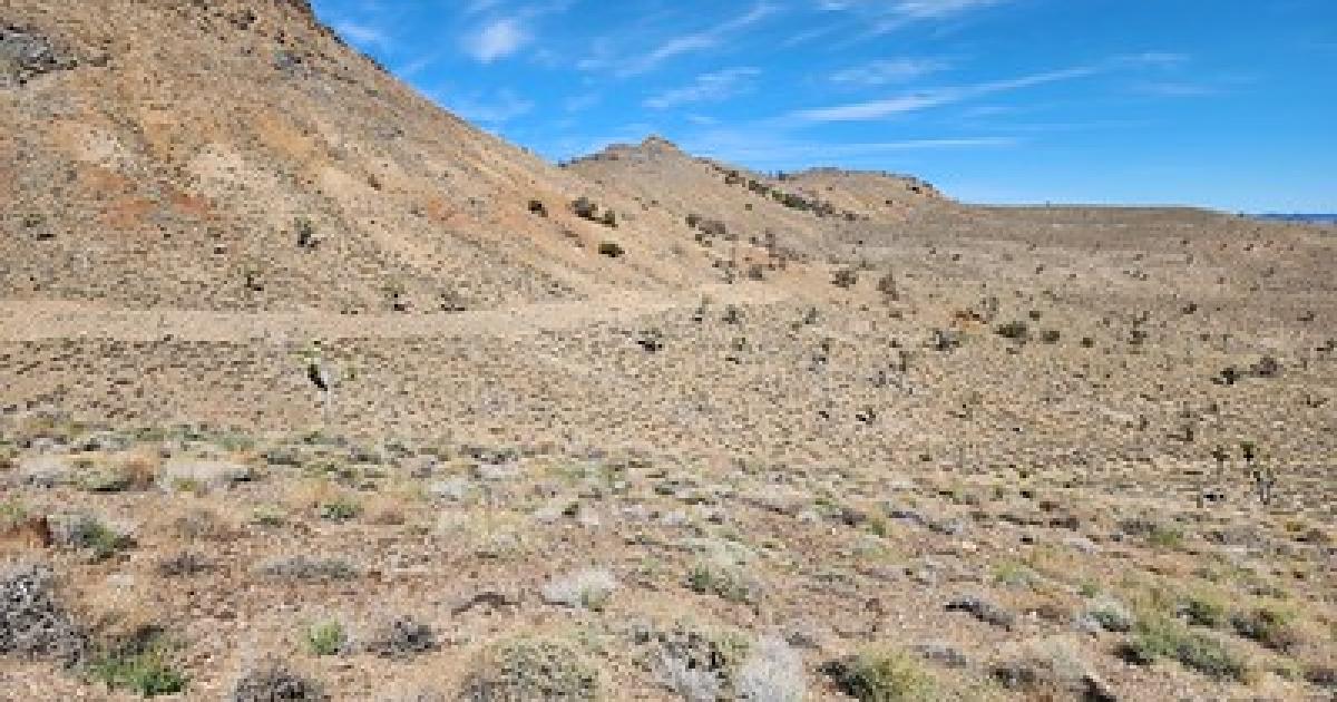 BLM seeks input on proposed mineral exploration in Inyo County
