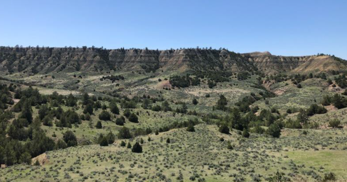 www.blm.gov