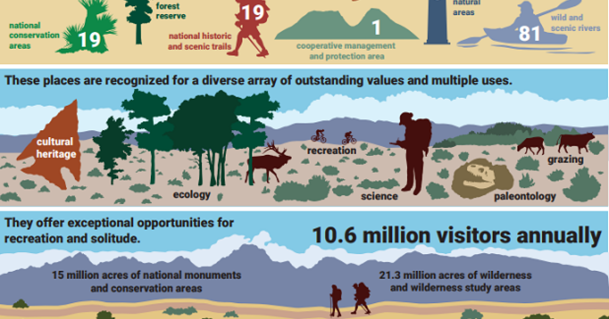 Infographic Twenty Five Years - NLCS 25th Infographic Thumbnail 