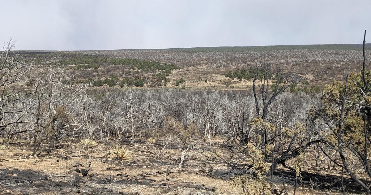 Blm Announces Rescission Of Closures Related To The Dragon Bravo Fire