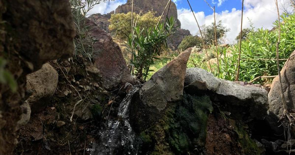 Tucson Field Office and local tribe coordinate on land management strategies