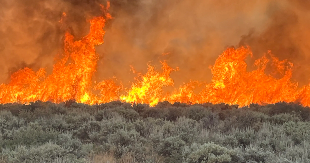 Labonte Fire BLM Wyoming alerts public to three active wildfires in Worland area ...