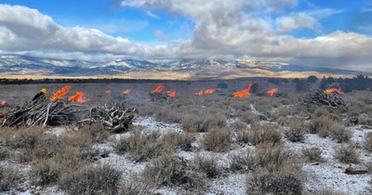 BLM plans prescribed burns in NE California, NW Nevada, to prevent ...