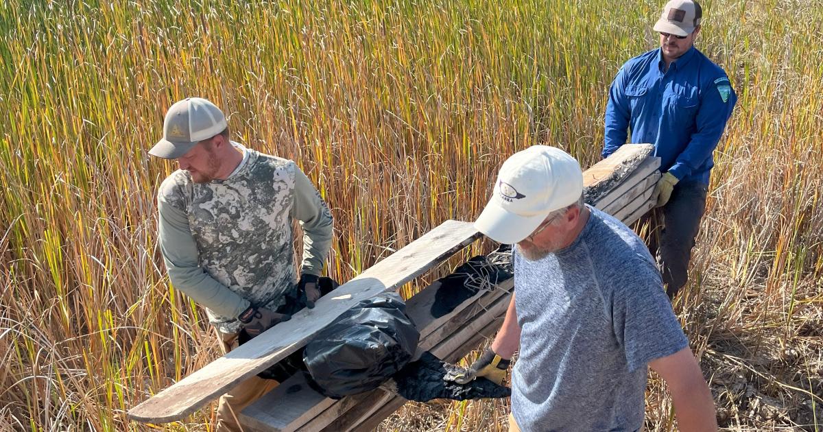Improving recreational experiences in the Worland Field Office with volunteers