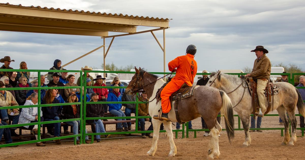BLM Wild Horse and Burro Adoption Events Promote Lifelong Bonds and ...