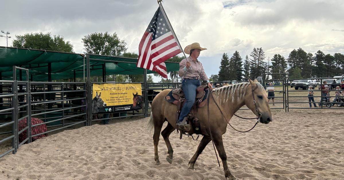 Day of the American West Wild Horse Adoption flyer