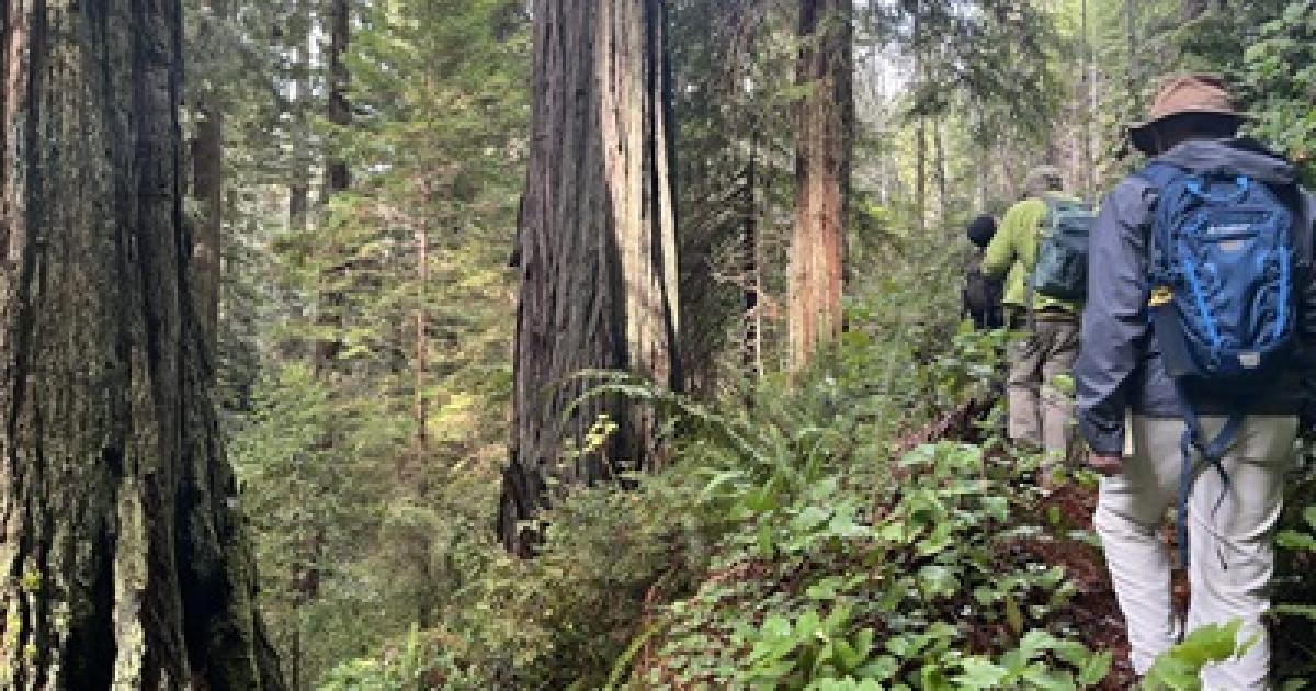 BLM Offers American Sign Language Guided Hike on Headwaters Salmon Pass Trail