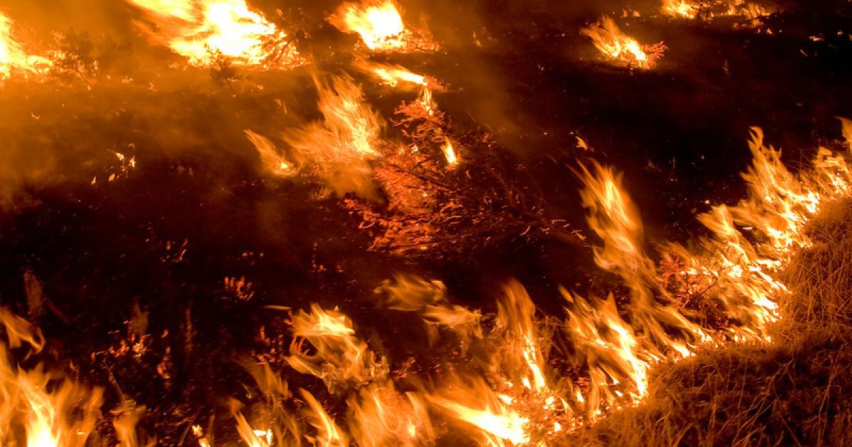 orwa-news-fire.jpg?h=827069f2&itok=dlHyB