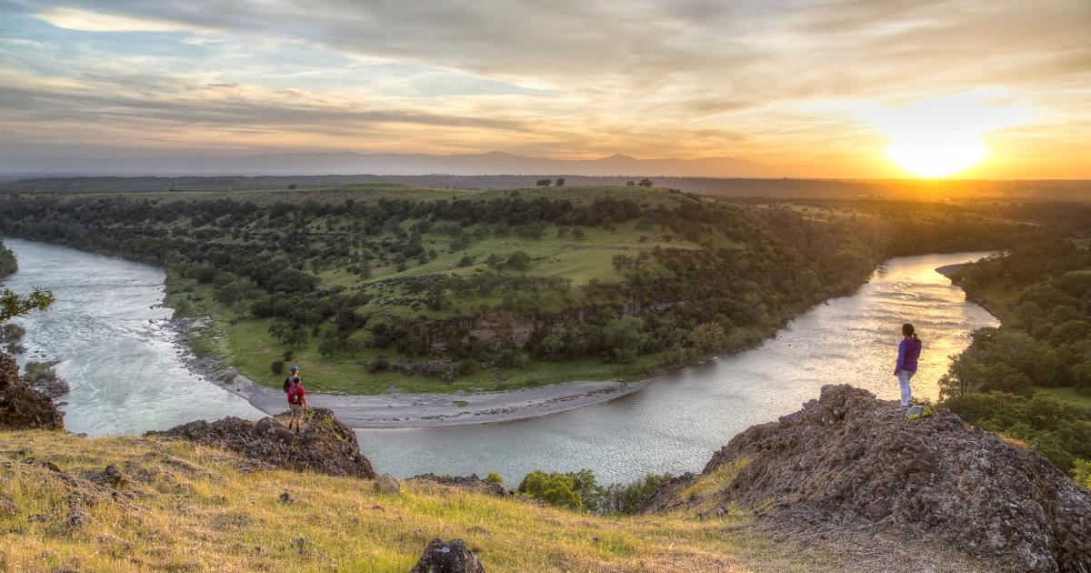 montana free press twitter