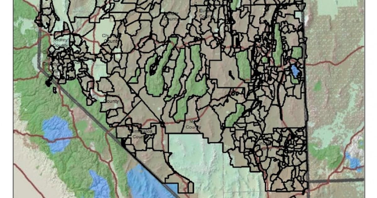 Targeted and Prescribed Grazing of Annual Grasses in Great Basin