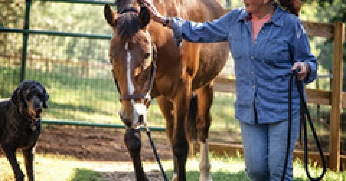 Adoption Incentive Program begins its third year with important changes ...