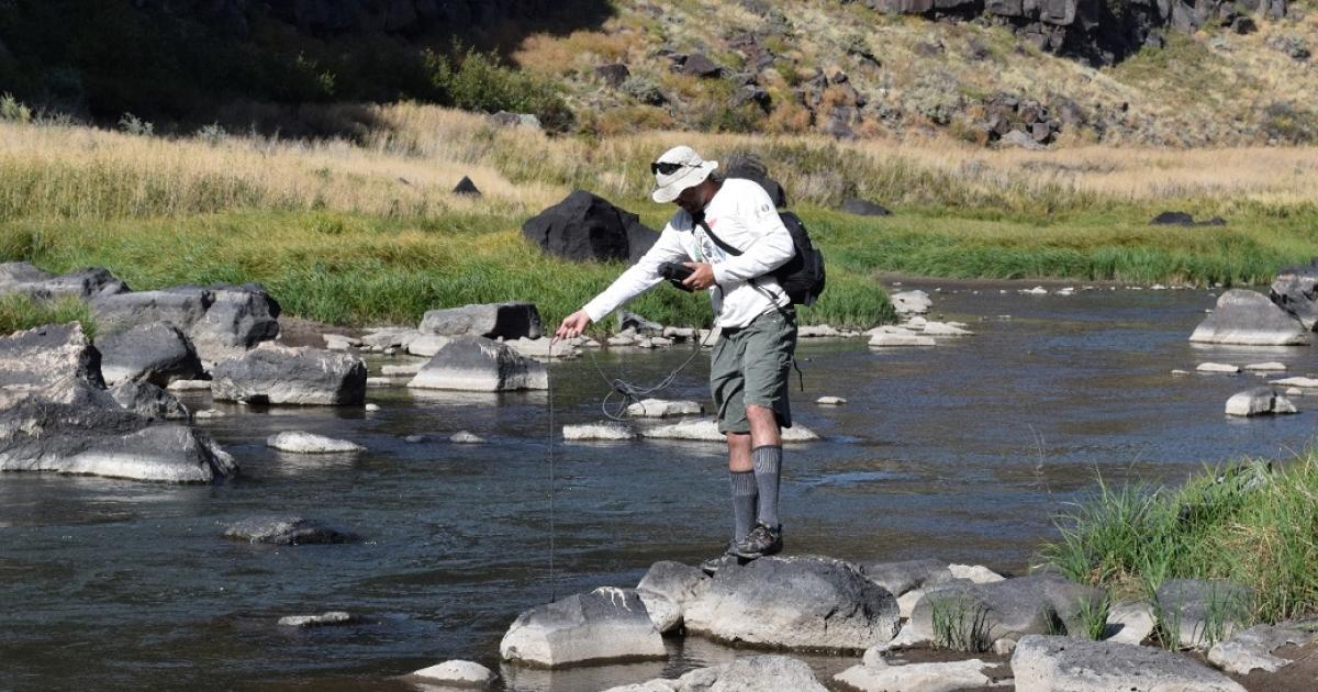 New Mexico Bureau of Land Management