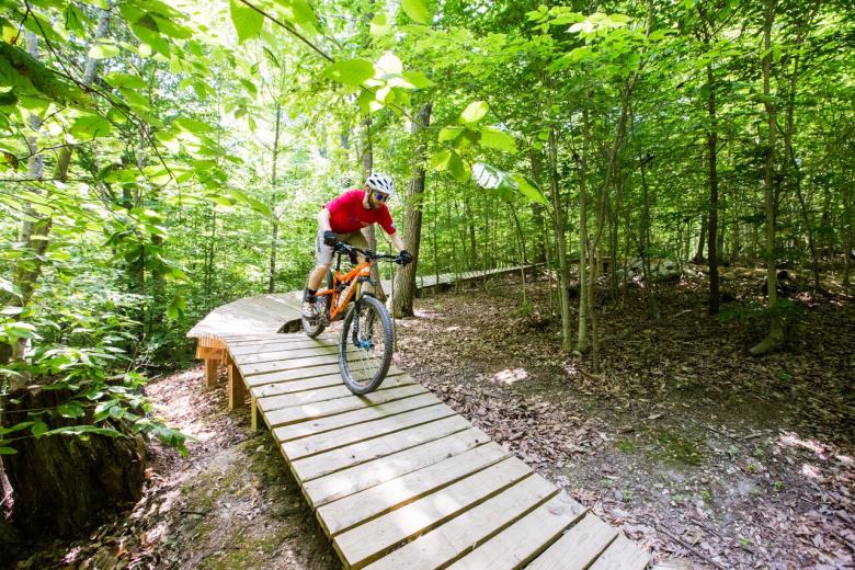 Mountain biker travels down path through forested area