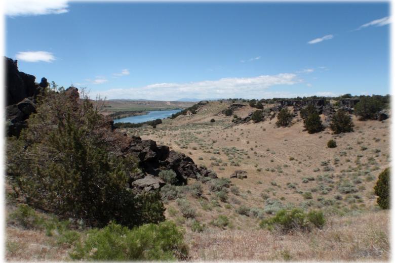 Cedar Fields area 