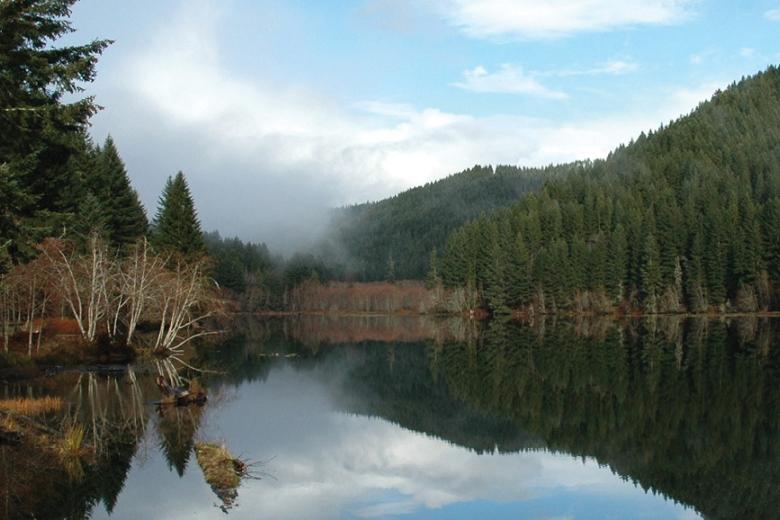 landscape photo of Hult Dam showing trees and water