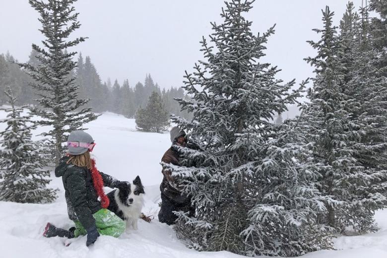 Man with a girl and dog cutting down a Christmas tree