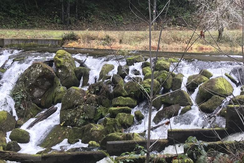 image showing water tumbling over a rocky dam with vegetation 