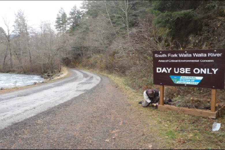 Pre-ﬂood trailhead access road looking east between Harris Park and the BLM Trailhead. 