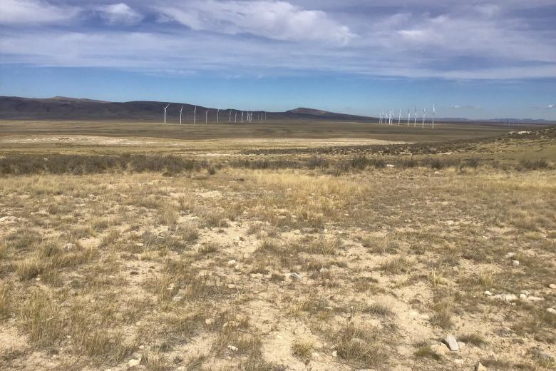 Image of land and wind turbines