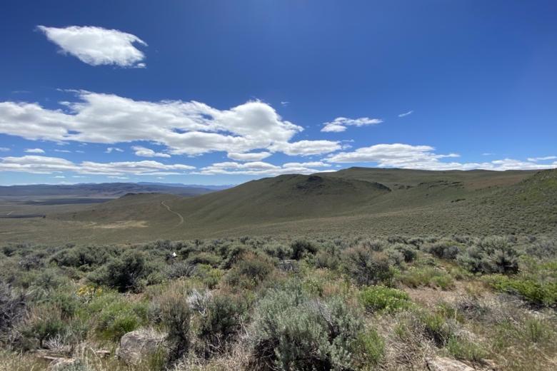 The sagebrush landscape of the BLM Lakeview District. Photo by Lisa McNee, BLM.