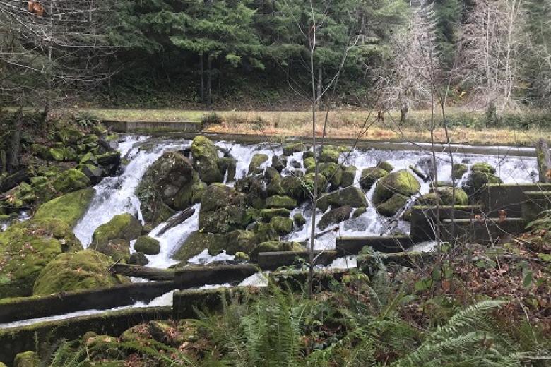water flowing near Hult Dam in Oregon