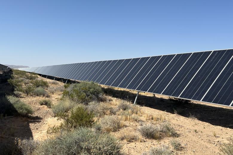 A solar array on flat land with scattered vegetation.