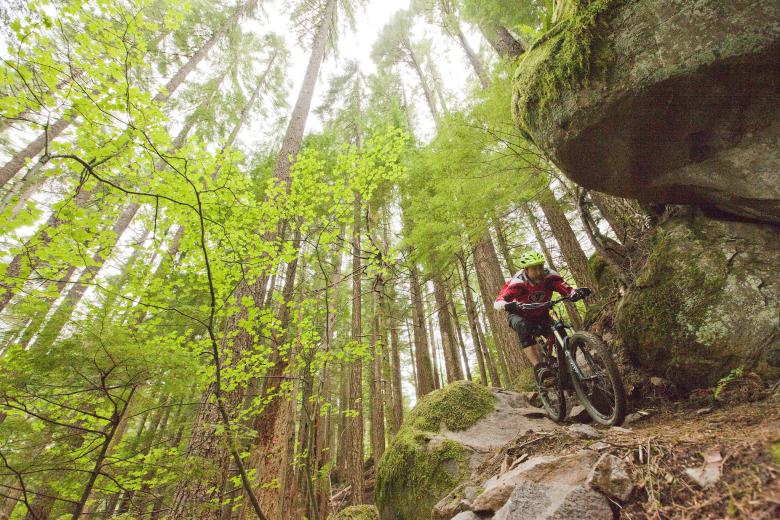 cyclist on the Sandy Ridge Mountain Bike Trail