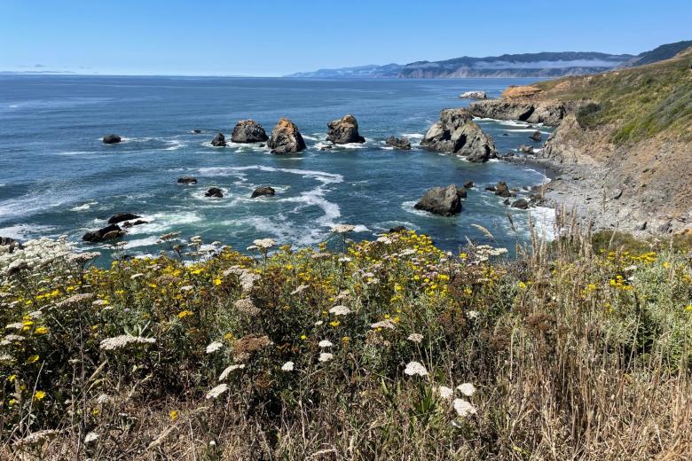 Cliffs and rocks of the Lost Coast area in California abutting the ocean.