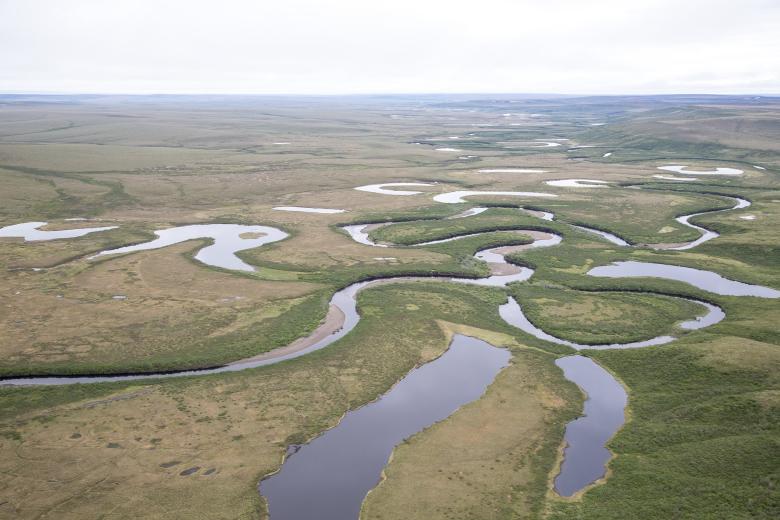 Rivers wind through flat, grassy land.