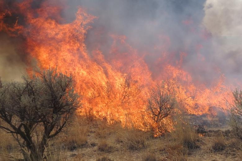 landscape on fire with smoke and flames