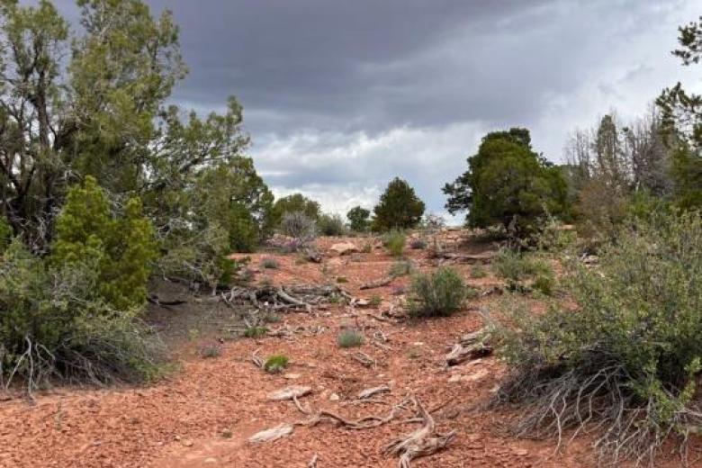 A desert landscape with scrub brush and cloudy sky at Velvet Mine site