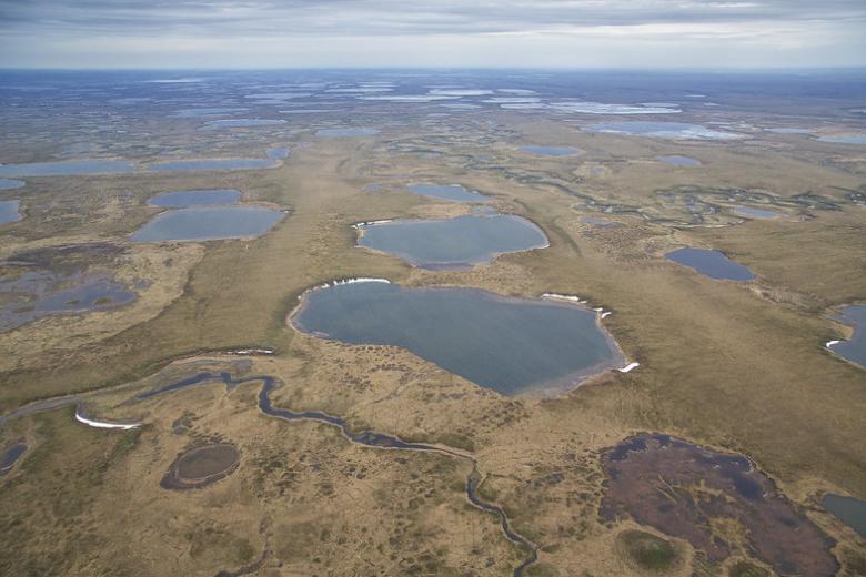 Aerial photo of lakes and rivers on the tundra landscape in the Northeast National Petroleum Reserve in Alaska.