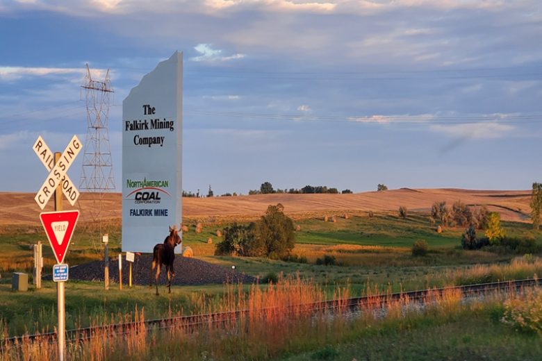 A photo of a sign in a field