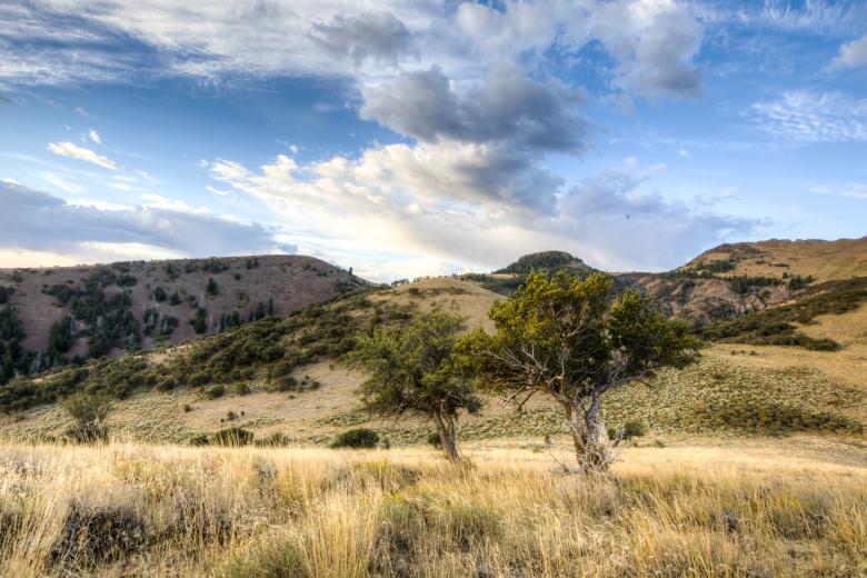 Jim Sage area managed by the Burley Field Office