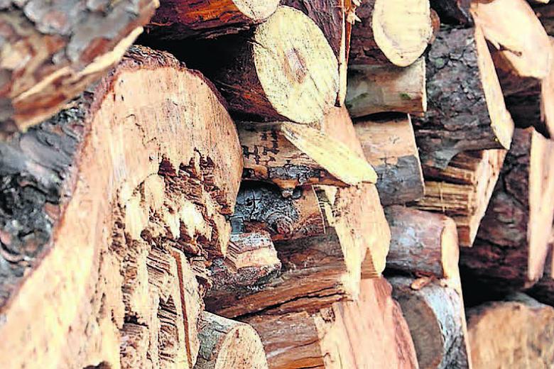Stacked and cut timber