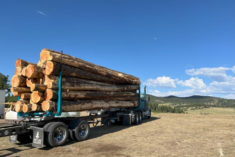 BLM-WY-TimberBuffalo2025