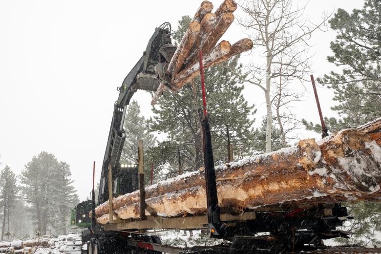 Contractors load salvage timber from Poncha Pass on to a truck to be processed at local mills.