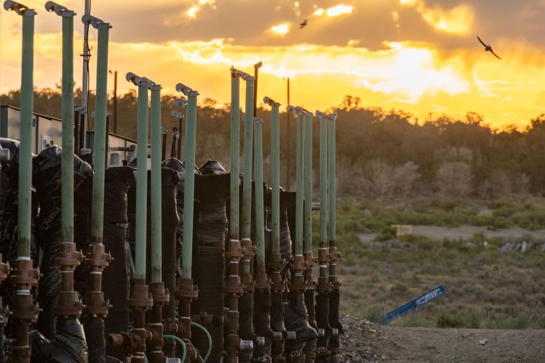 A row of wellheads stands silhouetted against a sunset sky, birds soar above a landscape of trees and shrubs.