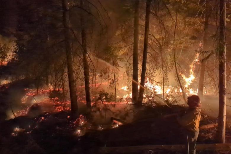 A fire fighter sprays water on a fire in a forest.