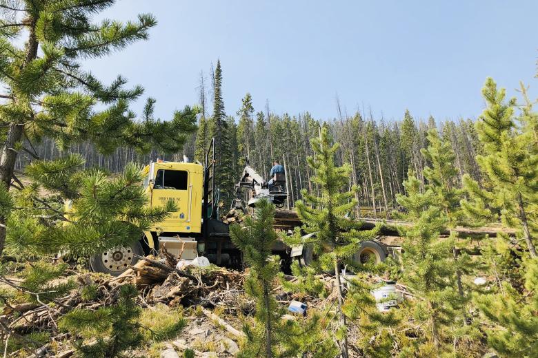 Yellow logging truck parked in a forest clearing surrounded by pine trees and scattered logs under a clear blue sky.