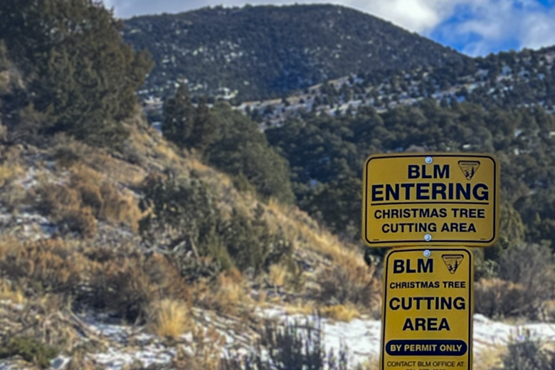 A close-up photograph of two yellow Bureau of Land Management signs mounted on a metal post in a snowy landscape. The top sign reads, "BLM ENTERING CHRISTMAS TREE CUTTING AREA" with the BLM logo. Below it, a second sign states, "BLM CHRISTMAS TREE CUTTING AREA BY PERMIT ONLY CONTACT BLM OFFICE AT: 801-977-4300," also with the logo. In the background, a dry, brush-covered hill with scattered evergreen trees slopes upwards towards a large mountain under a partly cloudy blue sky. Snow patches cover the ground 